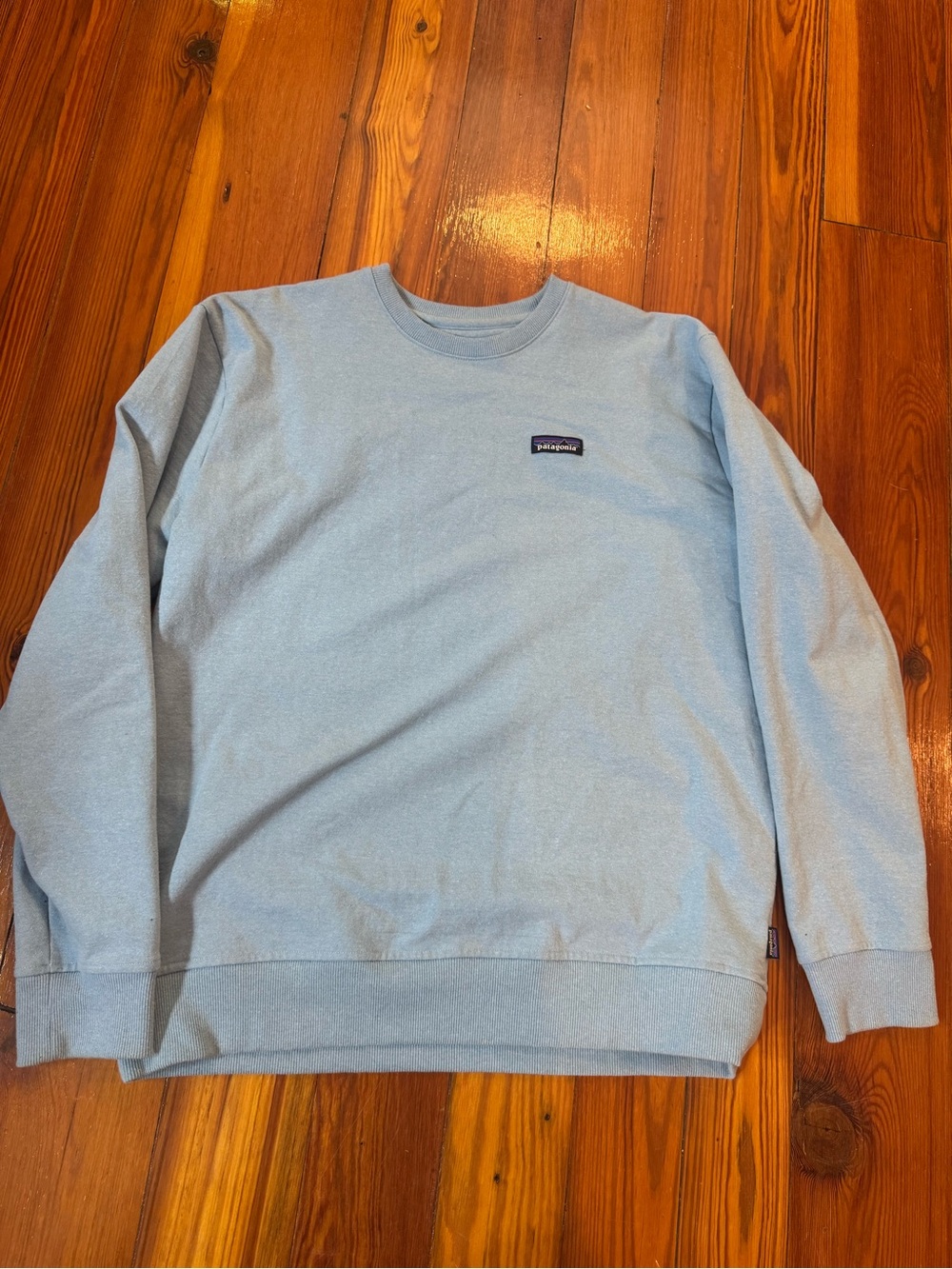 Patagonia Men’s Pale Blue Crewneck Sweatshirt